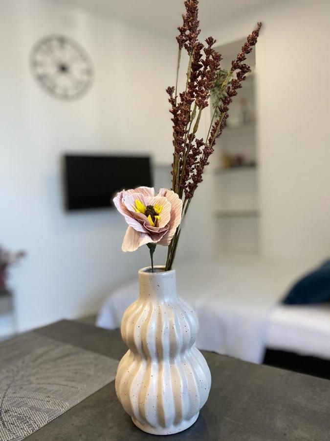 City Vibes Apartment Pula Bagian luar foto